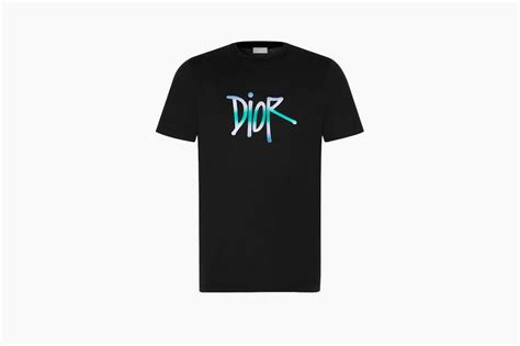 dior t shirt shawn|DIOR AND SHAWN T.